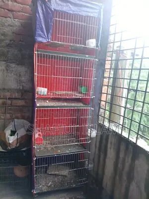 ৪ তলা খাঁচা