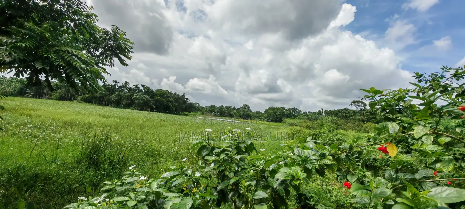 5.5 Acres or 550 decimals of land will be sold together.