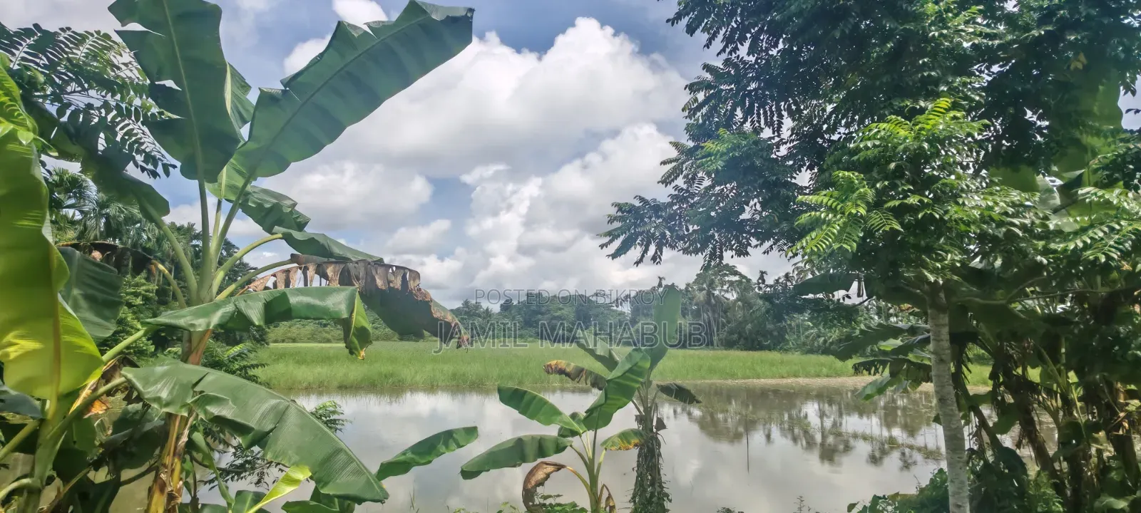 5.5 Acres or 550 decimals of land will be sold together.
