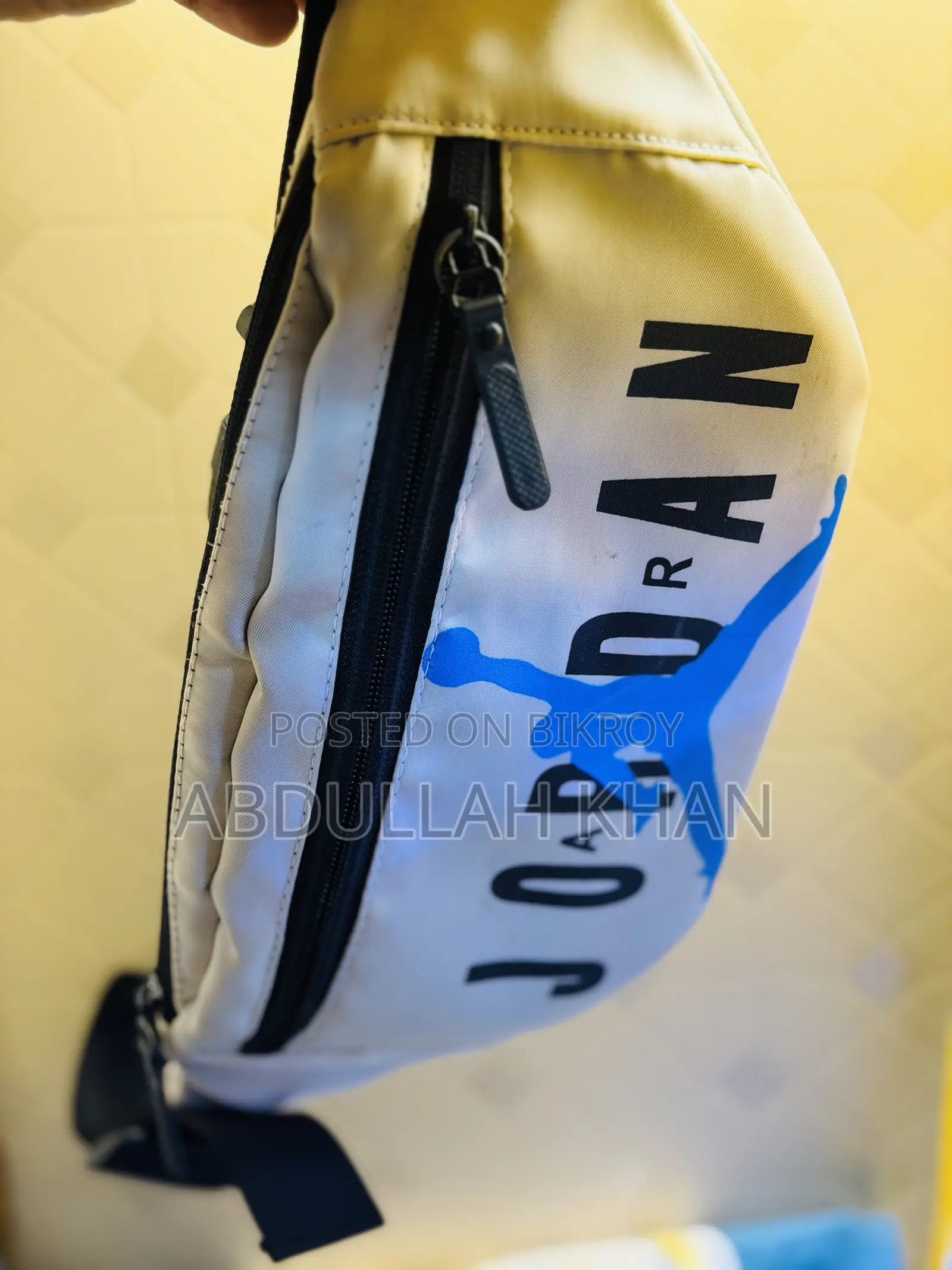 Waist/ Chest Bag