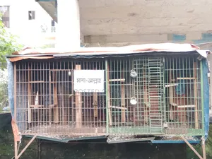 2 Cages for Sale