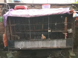 2 Cages for Sale