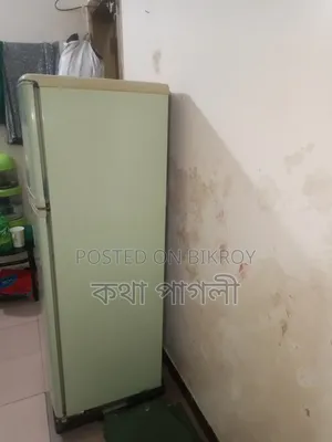 Very Good Non-Frost Fridge