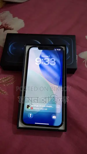 Apple iPhone 12 Pro Max 256 GB Blue