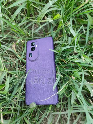 Oppo Reno10 Pro+ 256 GB Gray