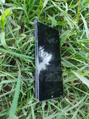 Oppo Reno10 Pro+ 256 GB Gray