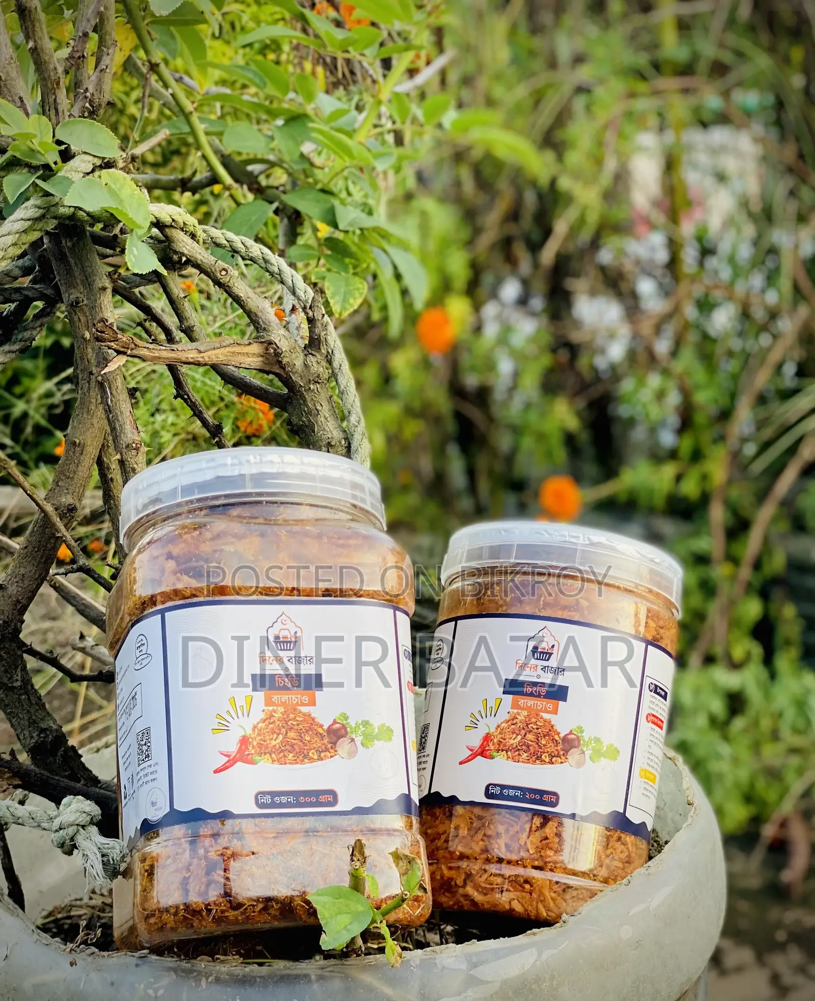 Premium Shrimp Balachao | Homemade Taste