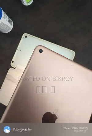 Apple iPad Mini 5 (2019) 64 GB Pink