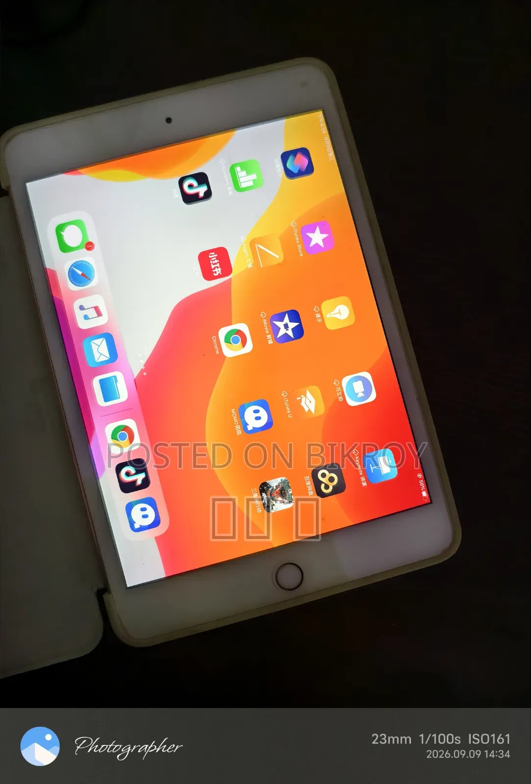Apple iPad Mini 5 (2019) 64 GB Pink