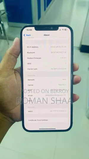 Apple iPhone 12 Pro Max 256 GB Blue
