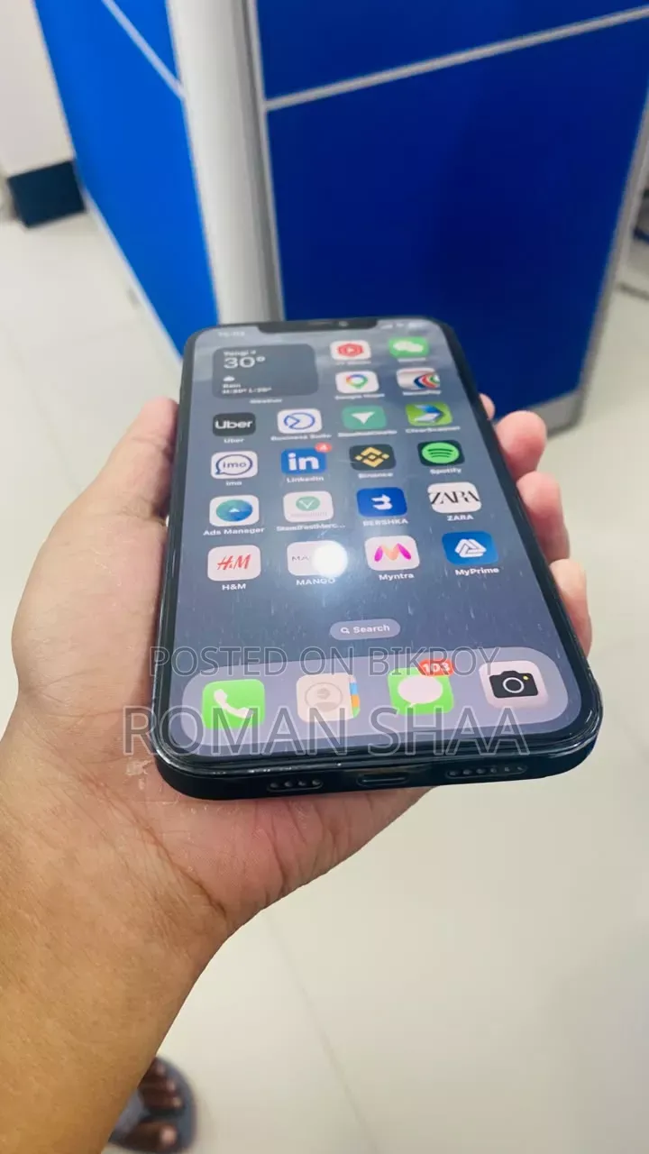 Apple iPhone 12 Pro Max 256 GB Blue