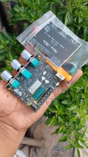 Wuzhi Audio ZK-LT22