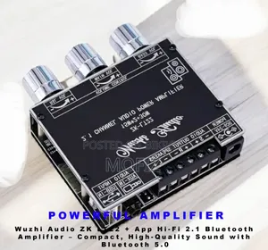 Wuzhi Audio ZK-LT22