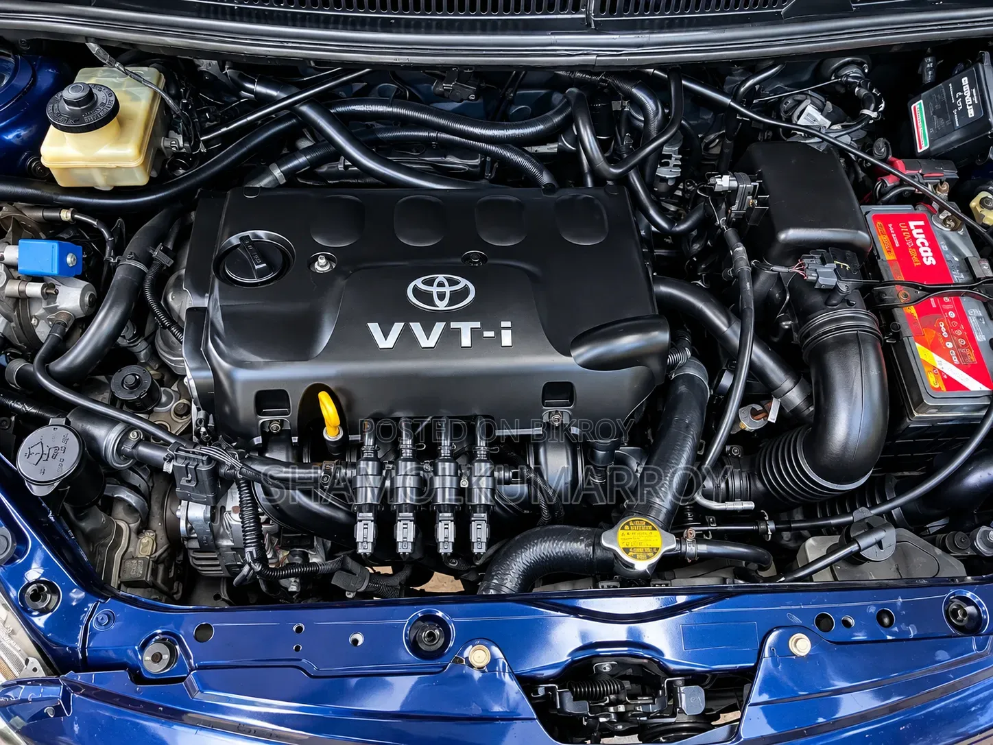 Toyota IST 2004 Blue