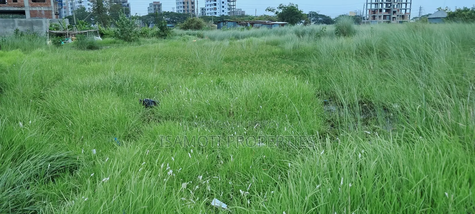 জলসিঁড়িতে ফিল ভিউ এবং ৬০ ফুট এভিনিউর ৫ কাঠার প্লট বিক্রি