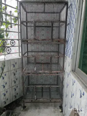 পাখির খাঁচা বিক্রয়ের জন্য