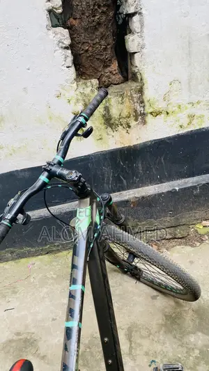 Foneix Cycle