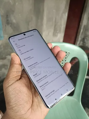 Xiaomi Redmi Note 13 Pro+ 256 GB Blue