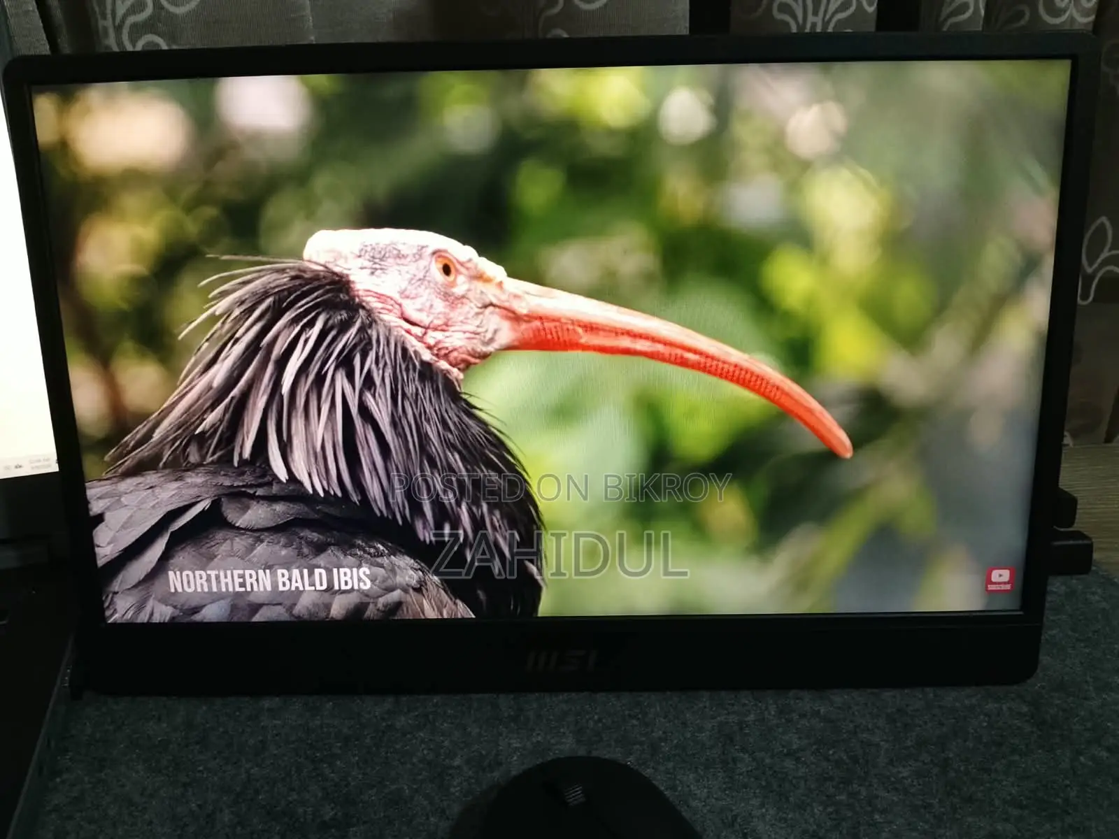 Msi Pro Mp161 E2 15.6" Ips FHD Portable Monitor