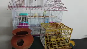 Rainbow Budgie birds cage and other things with full set up