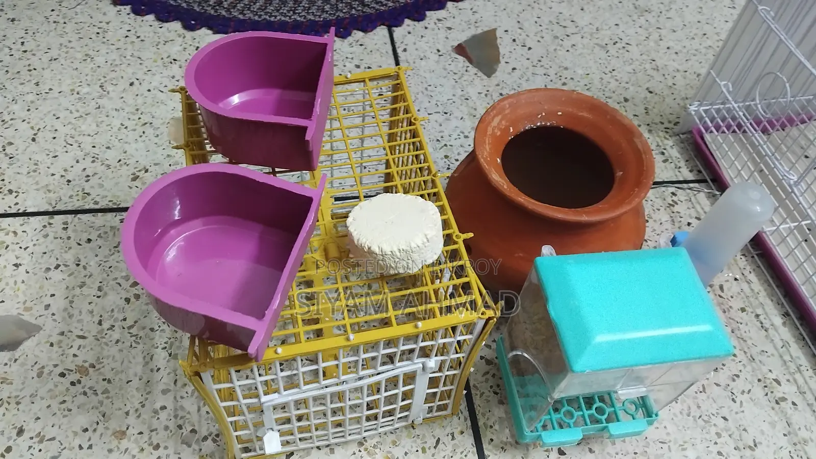 Rainbow Budgie birds cage and other things with full set up