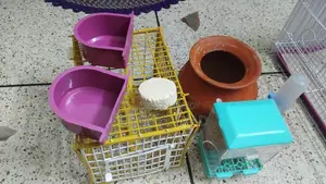 Rainbow Budgie birds cage and other things with full set up