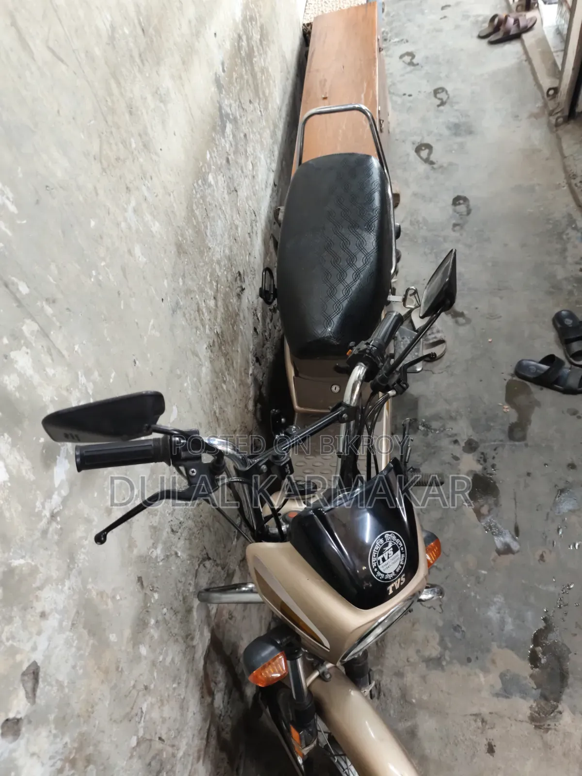 TVS XL 100 Comfort 2025 Gold