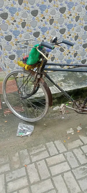 সাইকেল সেল