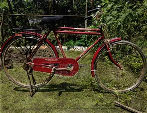 ফনিক সাইকেল বিক্রয় হবে