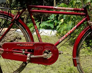 ফনিক সাইকেল বিক্রয় হবে