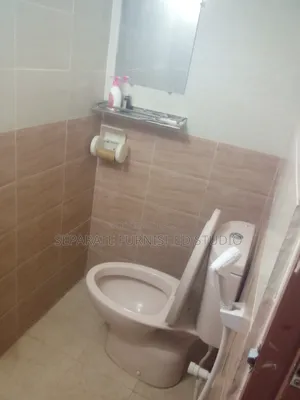 Mini Flat in 10 Sep, Mirpur for rent