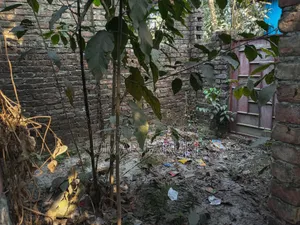 ৪ শতক জমি বিক্রয় হইবে