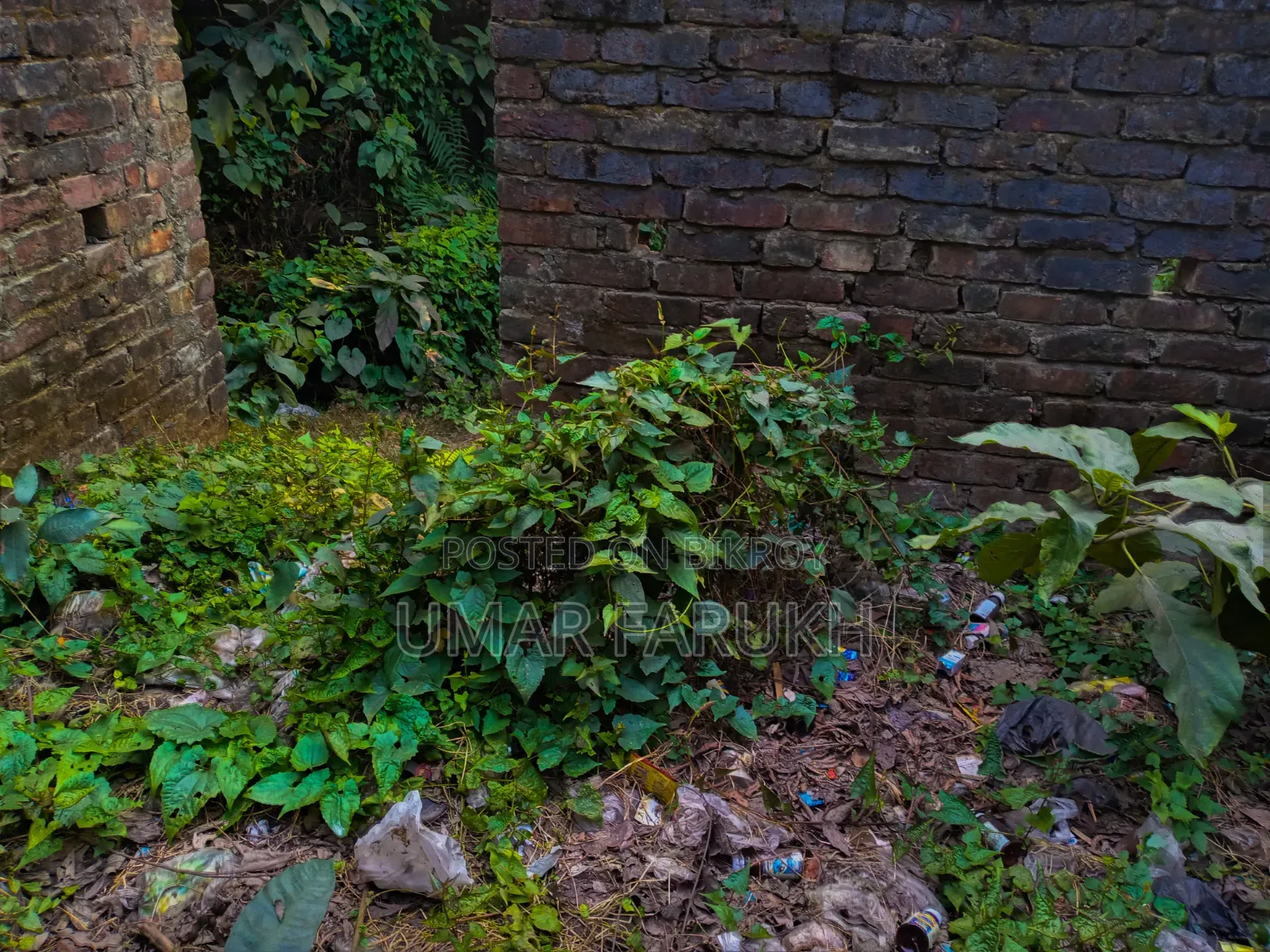 ৪ শতক জমি বিক্রয় হইবে