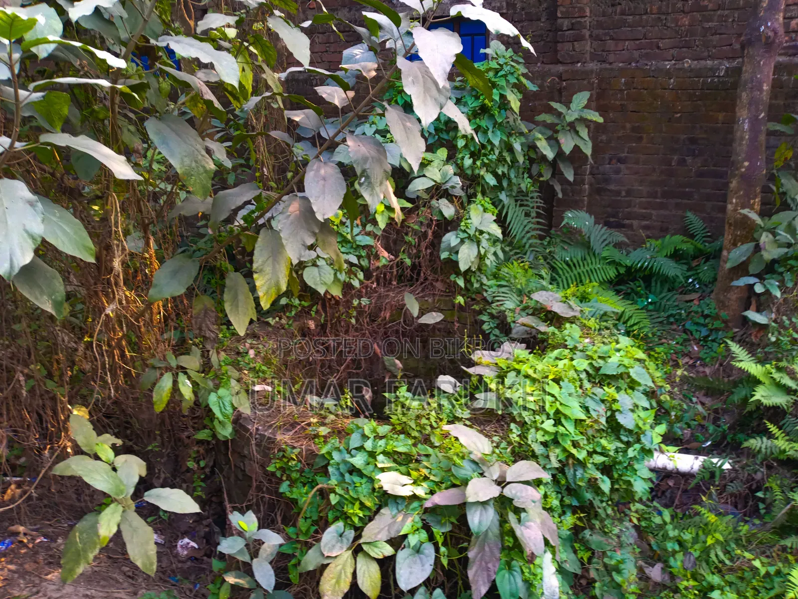 ৪ শতক জমি বিক্রয় হইবে