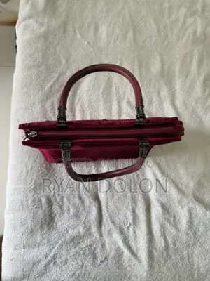 Ladies Bag From Aarong