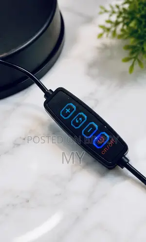 Content Creator Combo