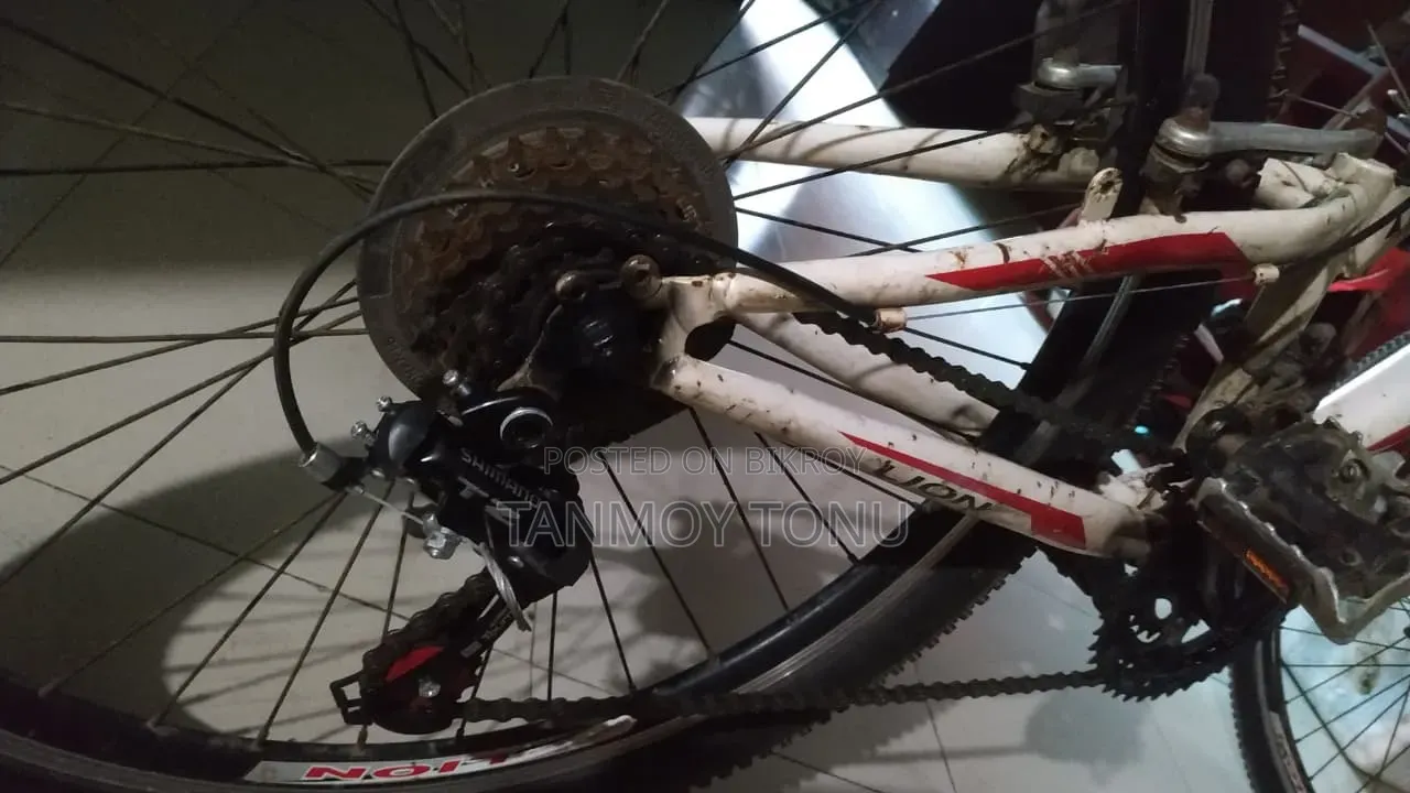 সাইকেল সেল