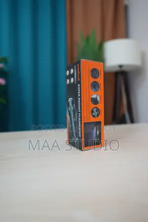 টর্চ লাইট