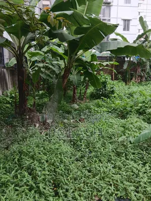 বসুন্ধরা জি ব্লক প্লট বিক্রি