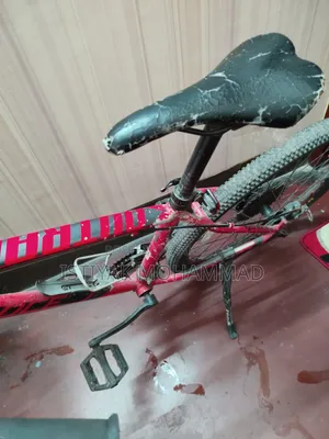 Cycle for sale