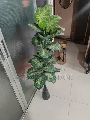 একেবারে নতুন পাস ফুট, 2 ইঞ্চি সবচাইতে বড় আর্টিফিশিয়াল কচু গাছ, কমে