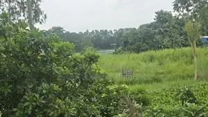 মুন্সীগঞ্জে ১৬ শতাংশ জমি