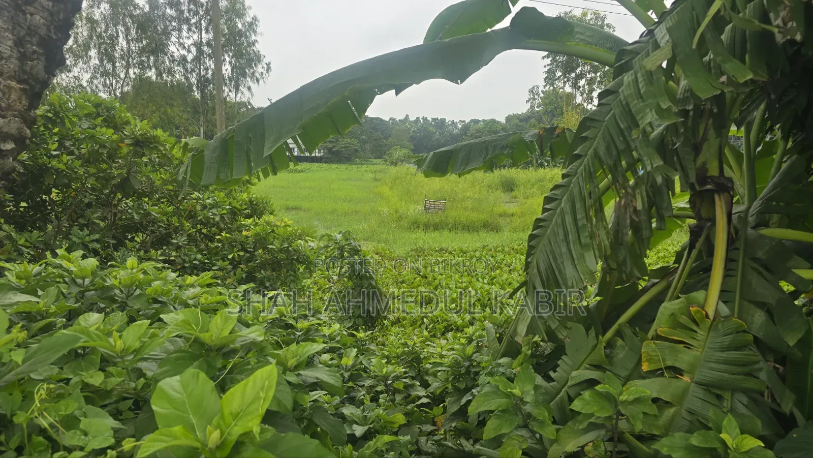 মুন্সীগঞ্জে ১৬ শতাংশ জমি