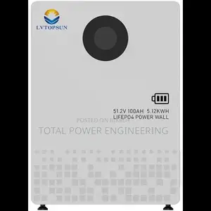 LVTOPSUN 51.2V 100AH Energy Storage Lithium-Ion Battery