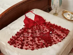 নারীদের প্রজাপতি লেস নাইটড্রেস – শিয়ার মেস লাঞ্জেরি স্লিপওয়্যার