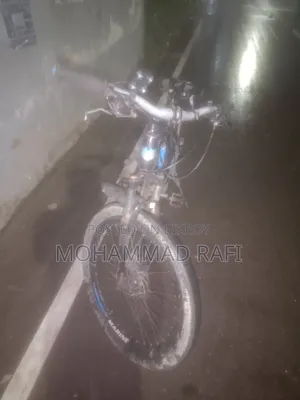 মেরিন বাইসাইকেল