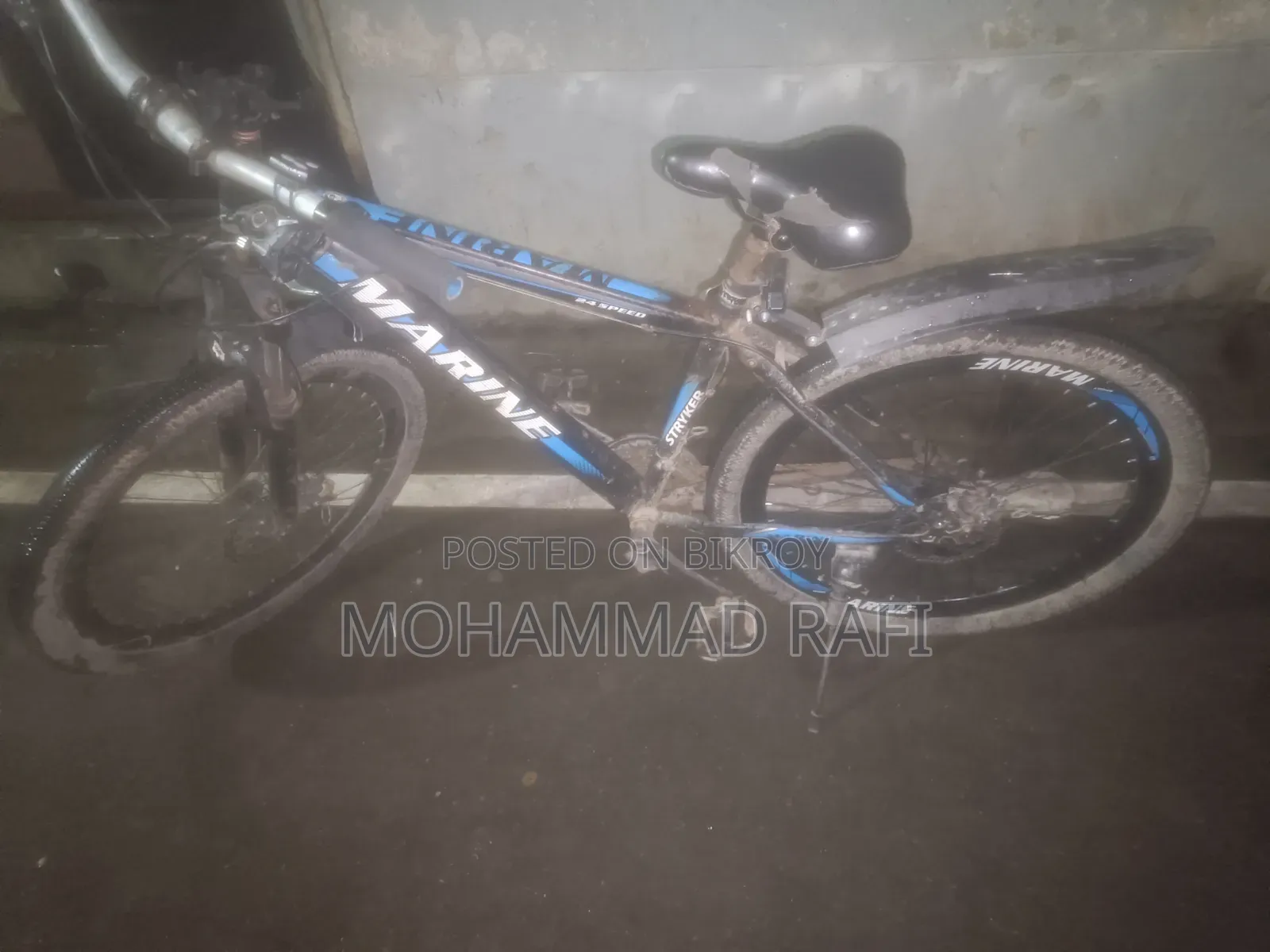 মেরিন বাইসাইকেল