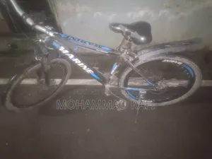 মেরিন বাইসাইকেল
