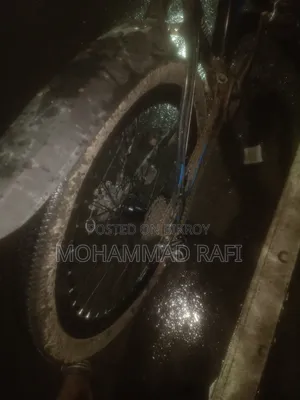 মেরিন বাইসাইকেল