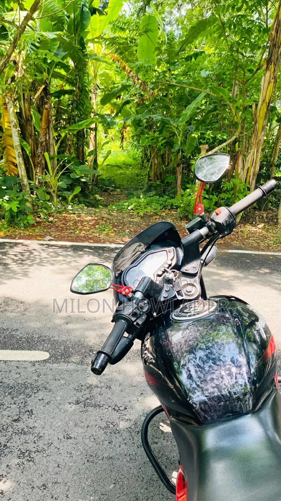 Bajaj Pulsar 150 2017 Black